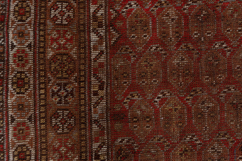 Vintage Shiraz Runner Rug (5' x 11')